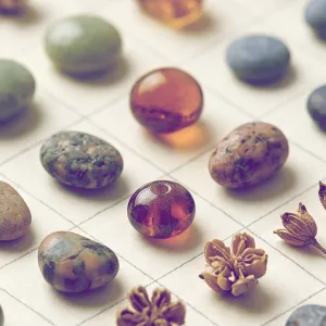 Collection icon