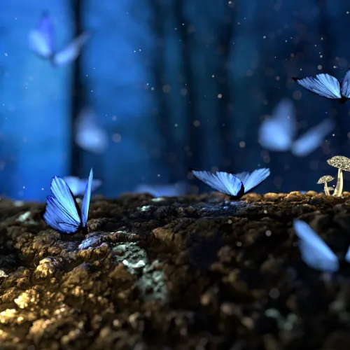 Blur bright