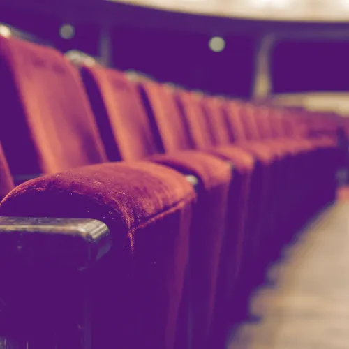 Audience icon