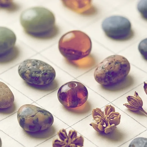 Collection icon