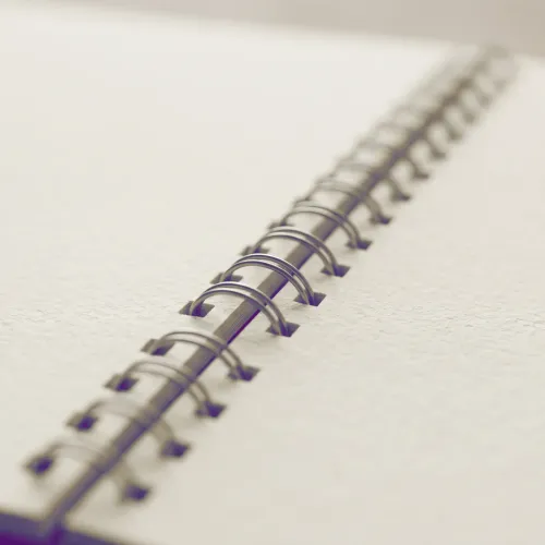 Page icon
