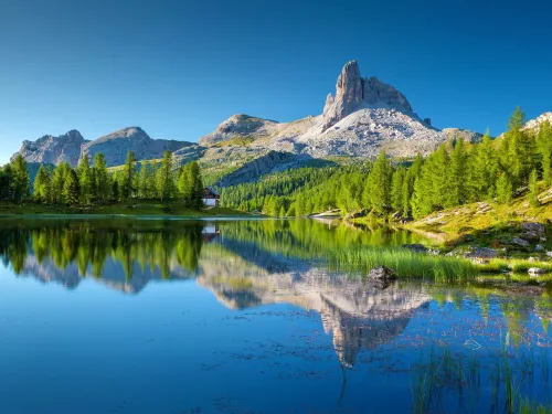 Alps