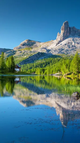 Alps
