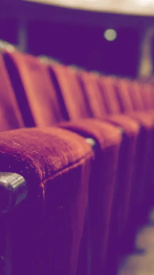 Audience icon