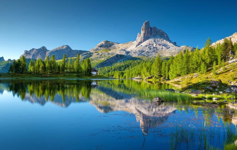 Alpine scene with a lake